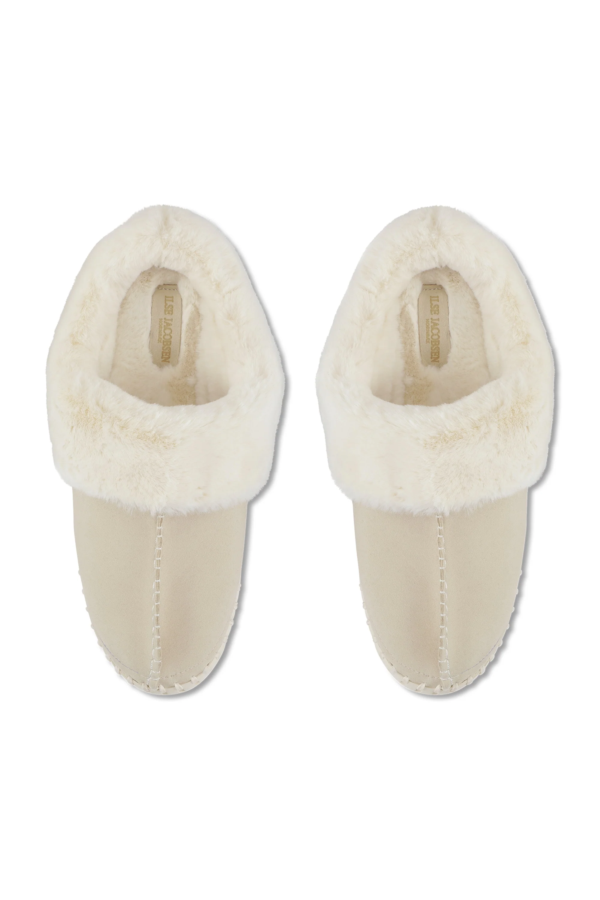 Slipper Tulip - Image 3